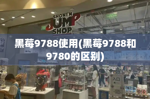 黑莓9788使用(黑莓9788和9780的区别)-第1张图片-星选测评