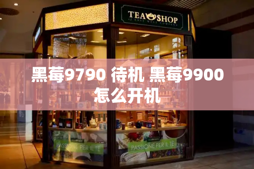 黑莓9790 待机 黑莓9900怎么开机