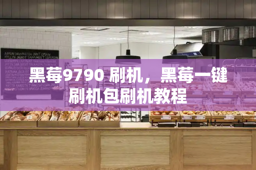 黑莓9790 刷机，黑莓一键刷机包刷机教程