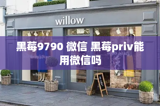 黑莓9790 微信 黑莓priv能用微信吗-第1张图片-星选测评