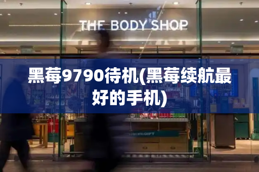 黑莓9790待机(黑莓续航最好的手机)