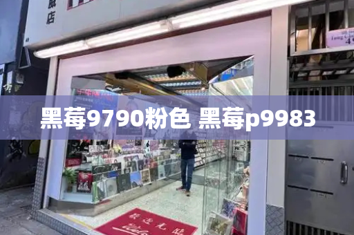 黑莓9790粉色 黑莓p9983
