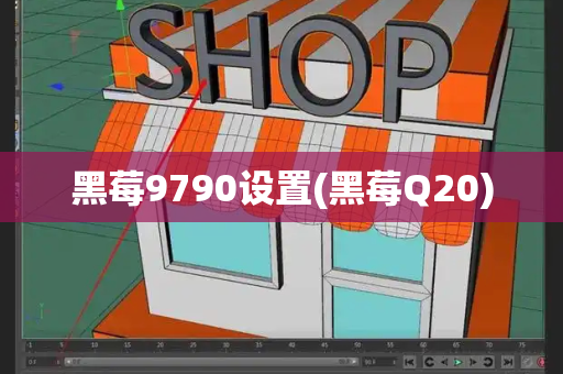 黑莓9790设置(黑莓Q20)