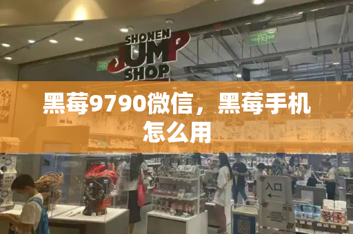 黑莓9790微信，黑莓手机怎么用-第1张图片-星选测评