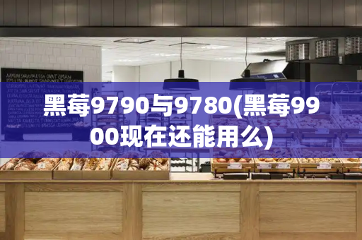 黑莓9790与9780(黑莓9900现在还能用么)