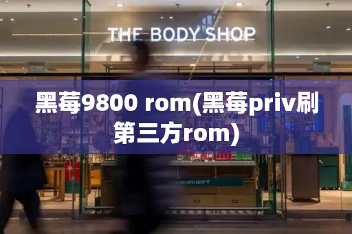黑莓9800 rom(黑莓priv刷第三方rom)