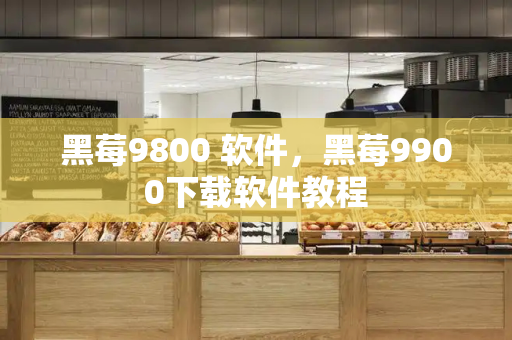 黑莓9800 软件，黑莓9900下载软件教程-第1张图片-星选测评