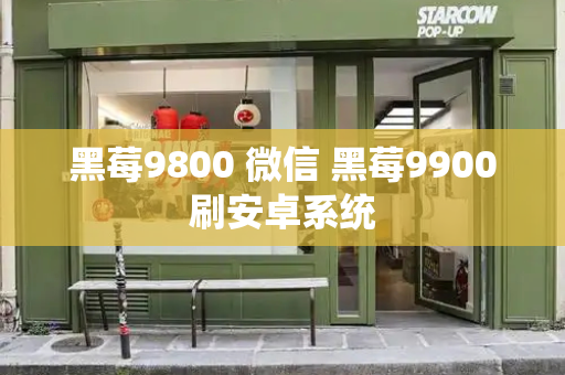 黑莓9800 微信 黑莓9900刷安卓系统