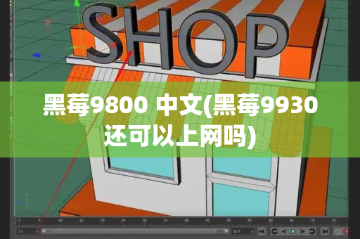 黑莓9800 中文(黑莓9930还可以上网吗)
