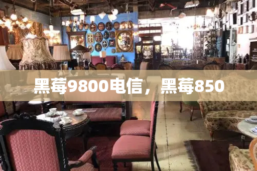 黑莓9800电信，黑莓850