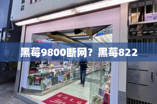 黑莓9800断网？黑莓8220