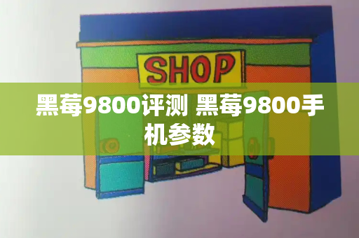 黑莓9800评测 黑莓9800手机参数