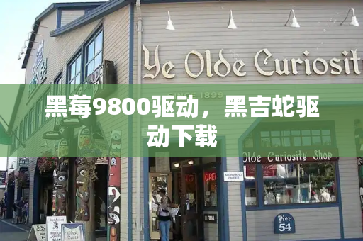 黑莓9800驱动，黑吉蛇驱动下载-第1张图片-星选测评