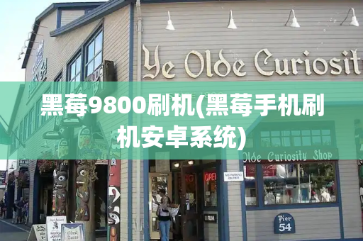 黑莓9800刷机(黑莓手机刷机安卓系统)