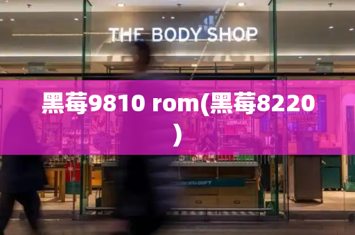 黑莓9810 rom(黑莓8220)-第1张图片-星选测评