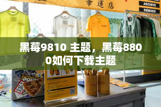 黑莓9810 主题，黑莓8800如何下载主题-第1张图片-星选测评