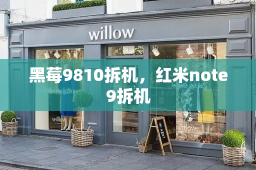 黑莓9810拆机，红米note9拆机-第1张图片-星选测评