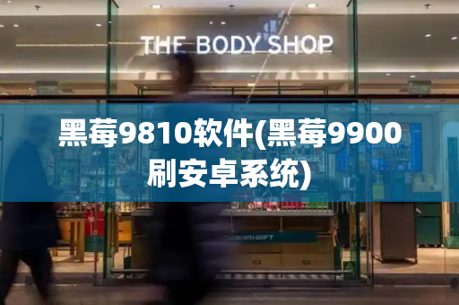 黑莓9810软件(黑莓9900刷安卓系统)