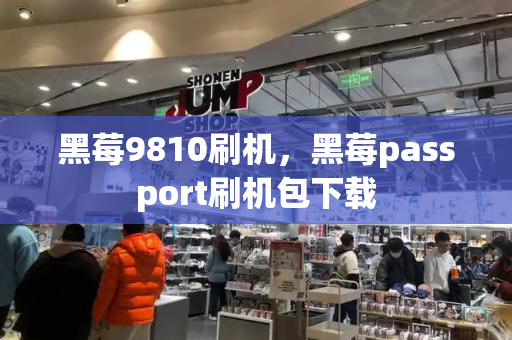 黑莓9810刷机，黑莓passport刷机包下载