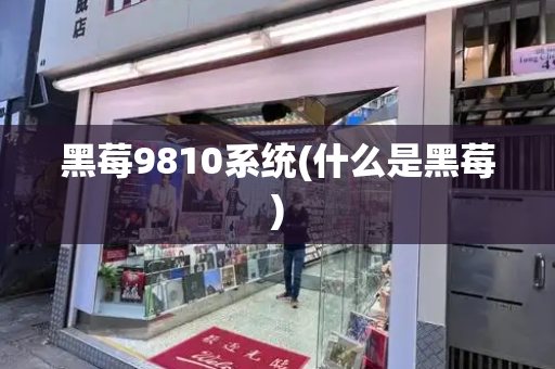 黑莓9810系统(什么是黑莓)-第1张图片-星选测评