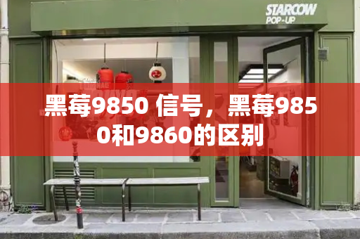 黑莓9850 信号，黑莓9850和9860的区别