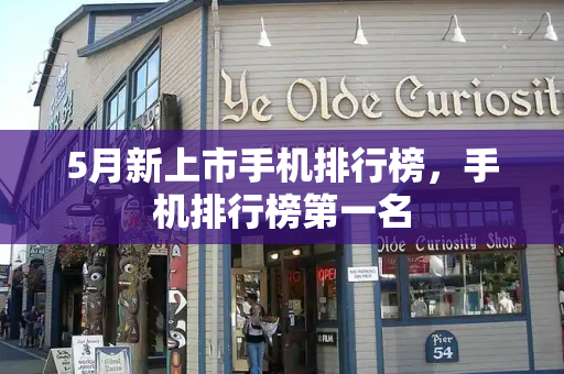 5月新上市手机排行榜，手机排行榜第一名-第1张图片-星选测评