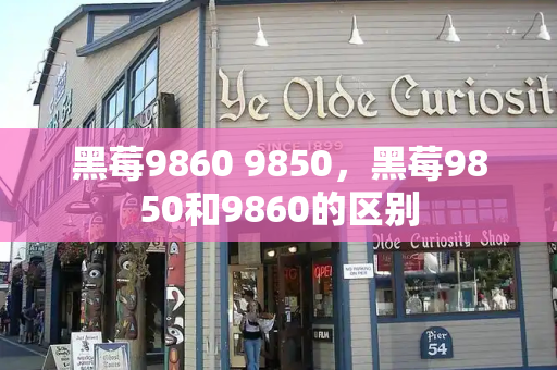 黑莓9860 9850，黑莓9850和9860的区别
