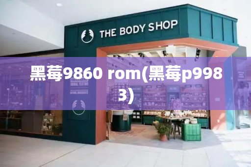 黑莓9860 rom(黑莓p9983)
