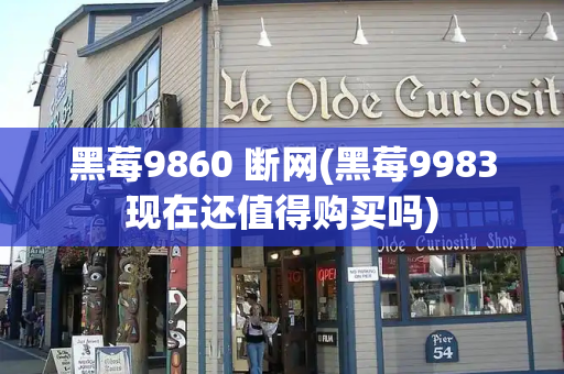 黑莓9860 断网(黑莓9983现在还值得购买吗)-第1张图片-星选测评