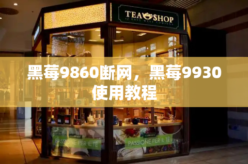 黑莓9860断网，黑莓9930使用教程-第1张图片-星选测评