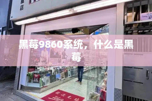 黑莓9860系统，什么是黑莓