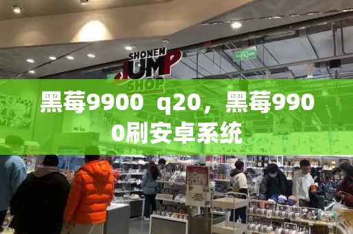 黑莓9900  q20，黑莓9900刷安卓系统