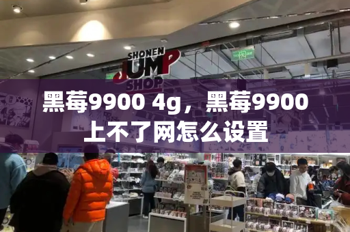 黑莓9900 4g，黑莓9900上不了网怎么设置-第1张图片-星选测评