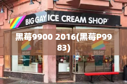 黑莓9900 2016(黑莓P9983)-第1张图片-星选测评