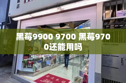 黑莓9900 9700 黑莓9700还能用吗-第1张图片-星选测评