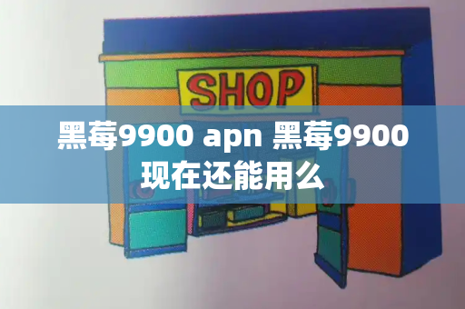 黑莓9900 apn 黑莓9900现在还能用么-第1张图片-星选测评
