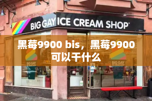 黑莓9900 bis，黑莓9900可以干什么