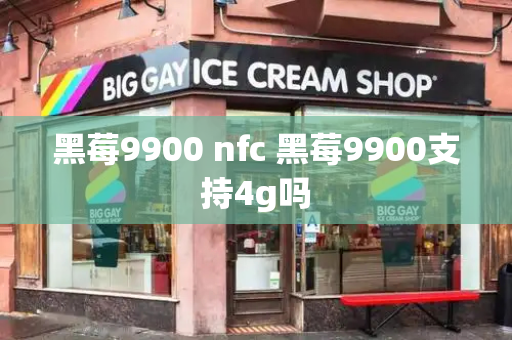 黑莓9900 nfc 黑莓9900支持4g吗