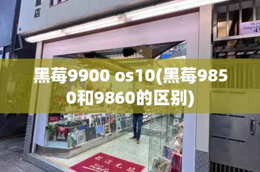 黑莓9900 os10(黑莓9850和9860的区别)-第1张图片-星选测评