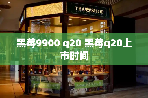 黑莓9900 q20 黑莓q20上市时间-第1张图片-星选测评