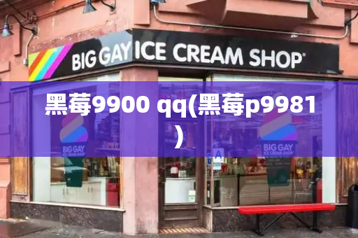 黑莓9900 qq(黑莓p9981)