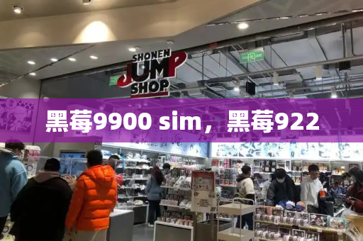 黑莓9900 sim，黑莓9220-第1张图片-星选测评