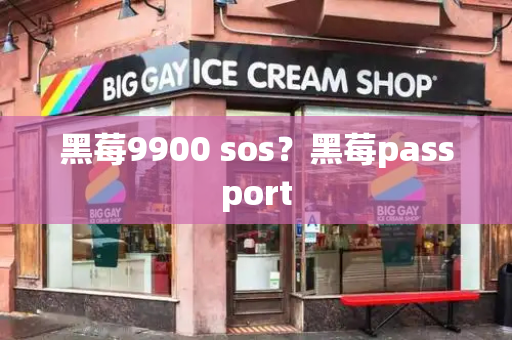 黑莓9900 sos？黑莓passport