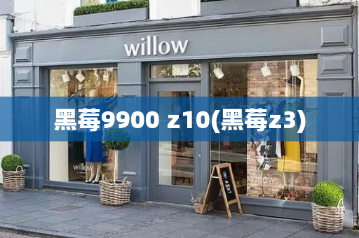 黑莓9900 z10(黑莓z3)