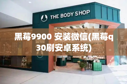 黑莓9900 安装微信(黑莓q30刷安卓系统)