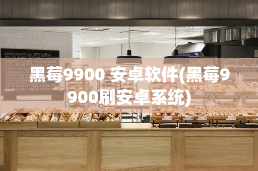 黑莓9900 安卓软件(黑莓9900刷安卓系统)-第1张图片-星选测评