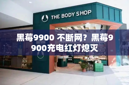 黑莓9900 不断网？黑莓9900充电红灯熄灭
