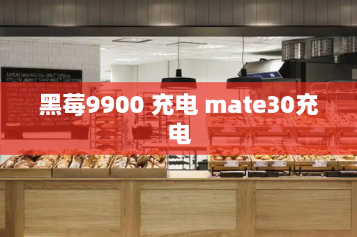 黑莓9900 充电 mate30充电