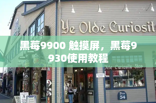 黑莓9900 触摸屏，黑莓9930使用教程
