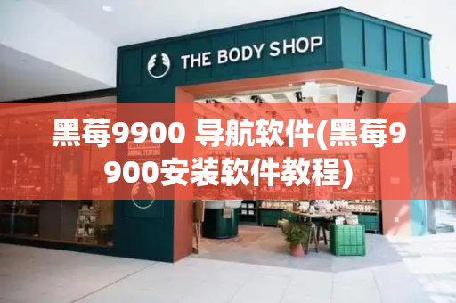 黑莓9900 导航软件(黑莓9900安装软件教程)